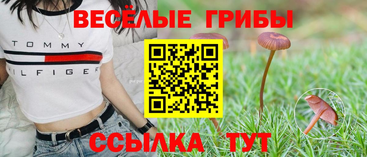 Бахчисарай  Псилоцибиновые грибы Cubensis  Галлюциногенные грибы Psilocybe  Вход с VPN 