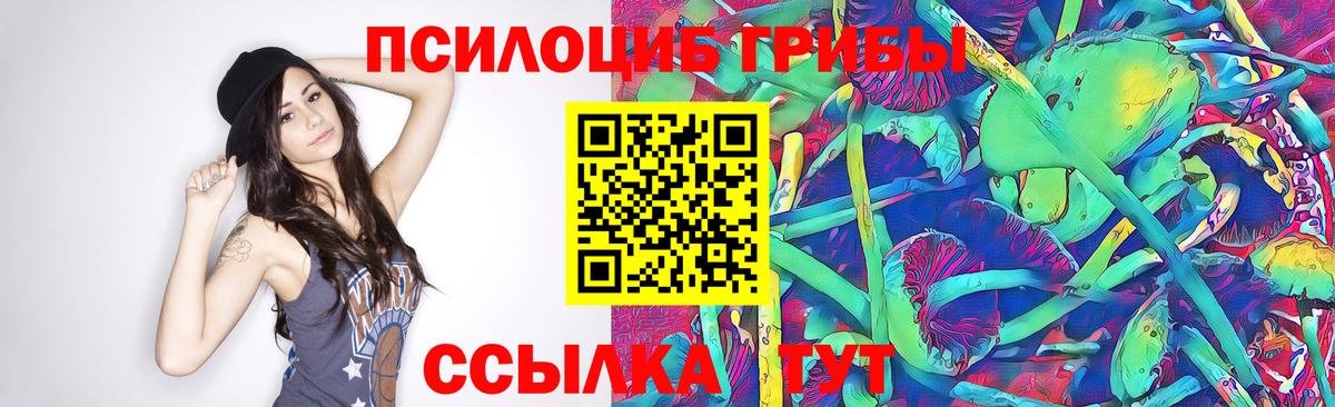 Галлюциногенные грибы Psilocybe Бахчисарай